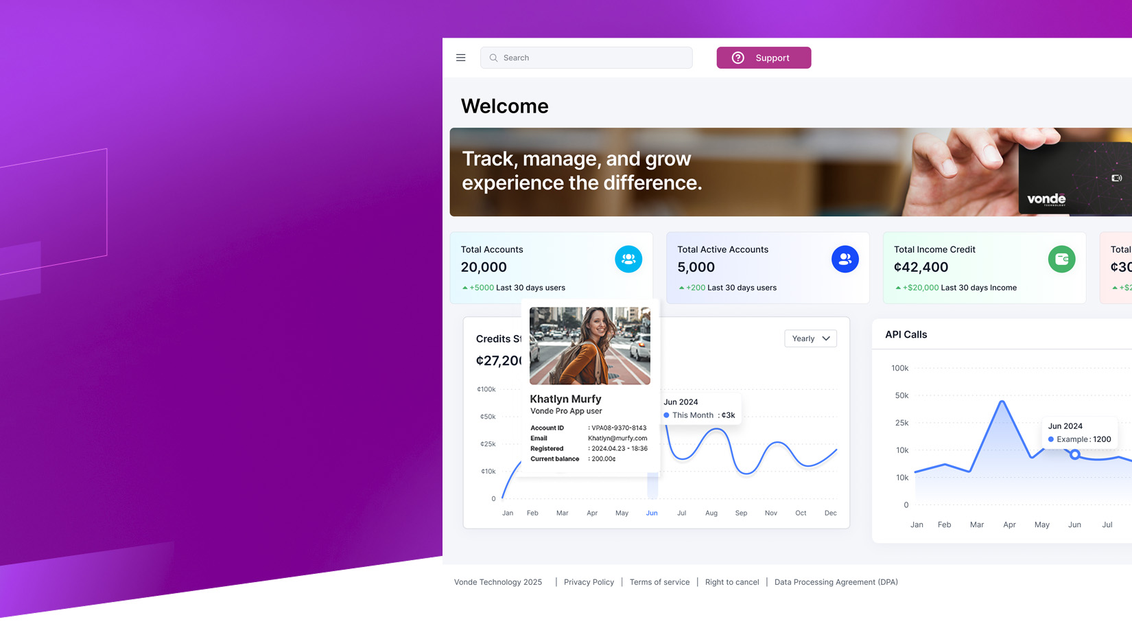 Effortless Credit Management